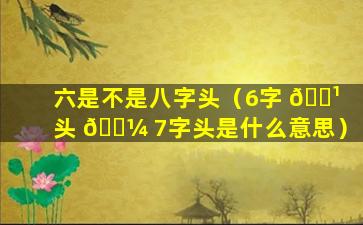 六是不是八字头（6字 🌹 头 🐼 7字头是什么意思）